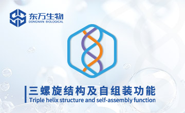 “原”自東萬 l 探秘膠原結(jié)構(gòu)